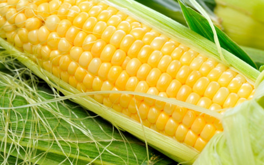 744953 (a): :2560x1600